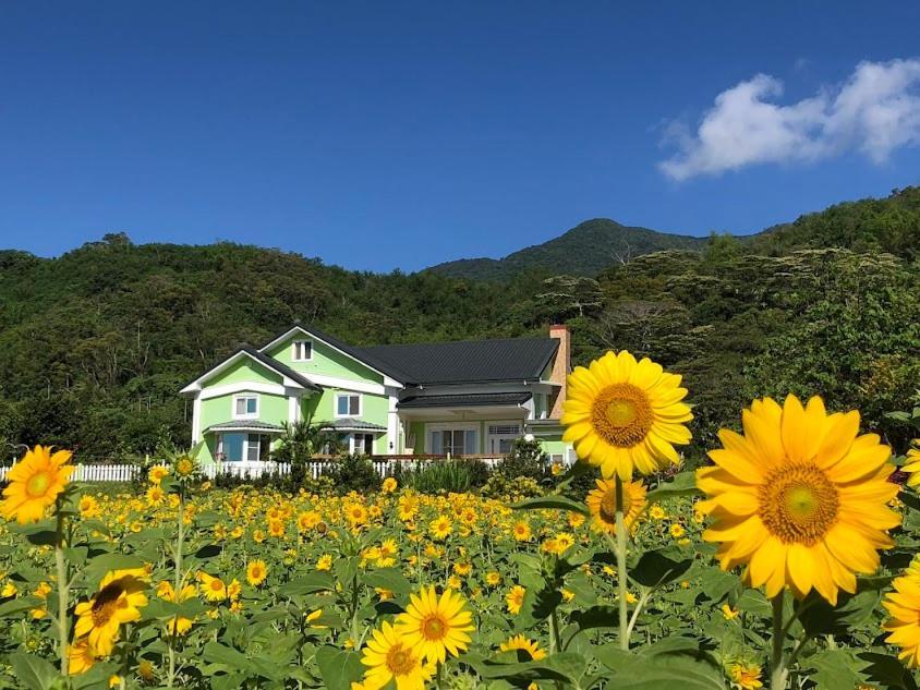 Canaan Beauty Farm B&B 成功鎮 エクステリア 写真